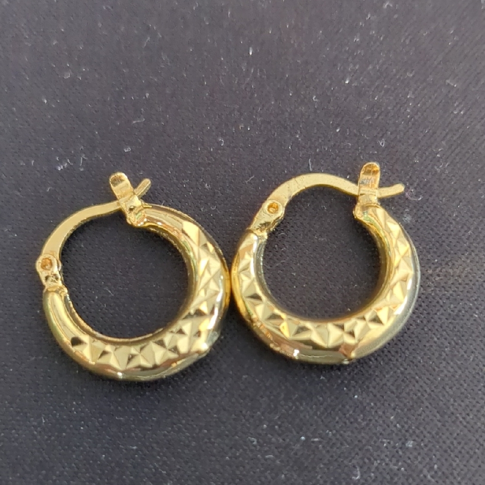 Elegant Gold Hoop Earrings